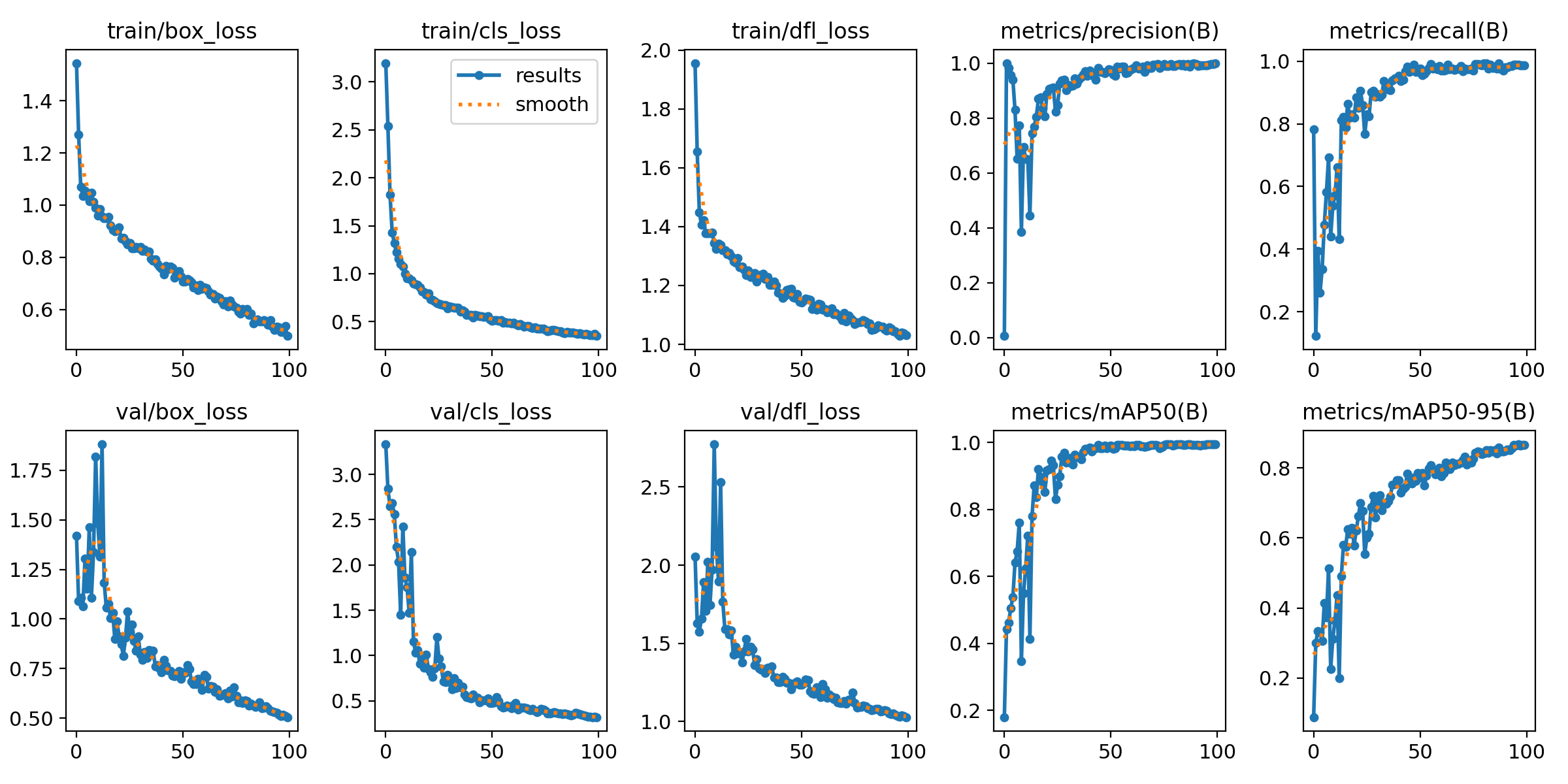 Training results showing model performance metrics